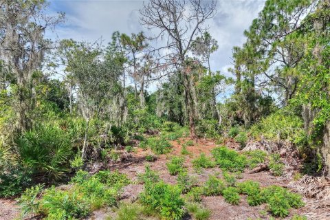 Land in Ruskin, Florida № 2341914 - photo 12