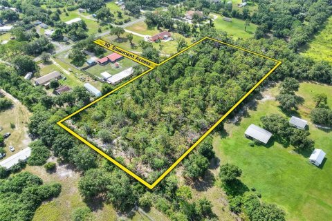 Land in Ruskin, Florida № 2341914 - photo 3