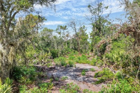 Land in Ruskin, Florida № 2341914 - photo 10