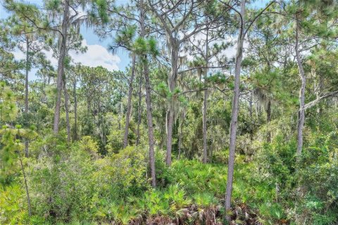 Land in Ruskin, Florida № 2341914 - photo 8