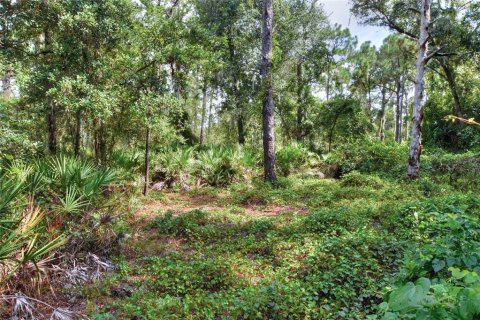 Land in Ruskin, Florida № 2341914 - photo 16