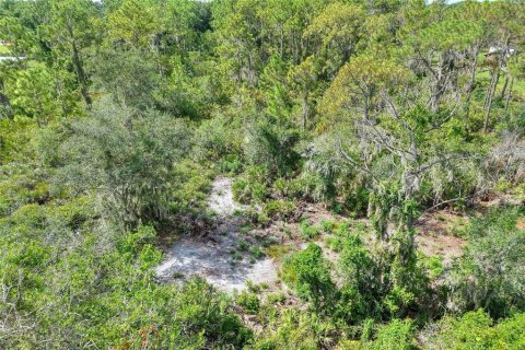 Land in Ruskin, Florida № 2341914 - photo 17
