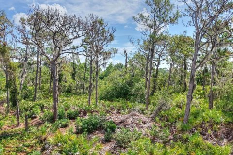 Land in Ruskin, Florida № 2341914 - photo 11