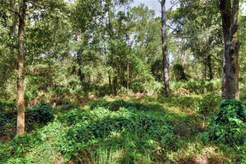 Land in Ruskin, Florida № 2341914 - photo 15