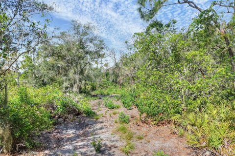 Land in Ruskin, Florida № 2341914 - photo 9