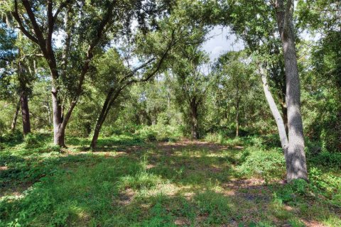 Land in Ruskin, Florida № 2341914 - photo 2