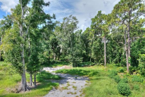 Land in Ruskin, Florida № 2341914