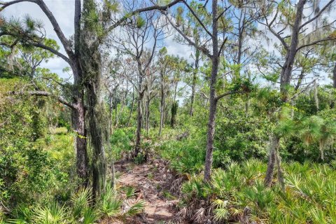 Land in Ruskin, Florida № 2341914 - photo 7