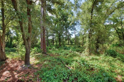 Land in Ruskin, Florida № 2341914 - photo 14