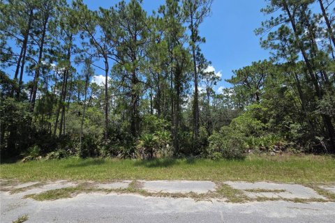 Terrain à Indian lake estates, Floride № 2213794