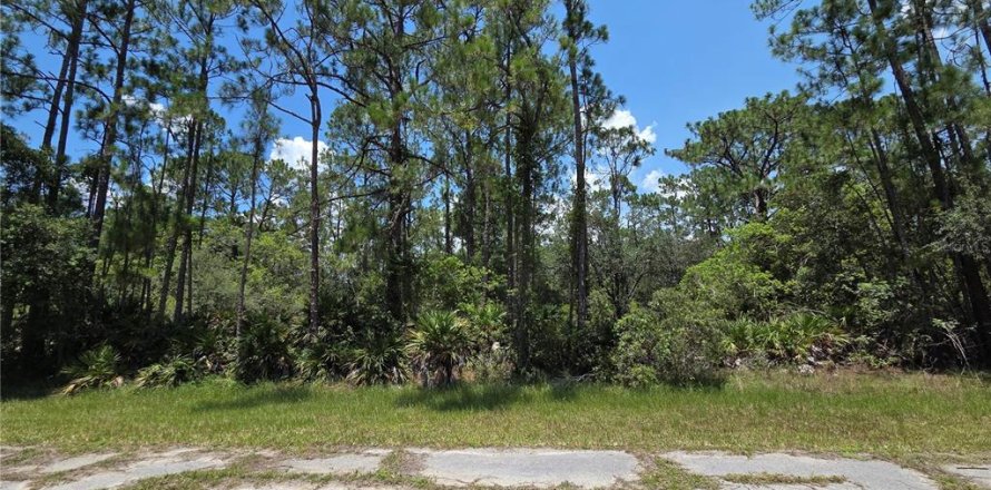 Terrain à Indian lake estates, Floride № 2213794