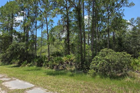 Terrain à vendre à Indian lake estates, Floride № 2213794 - photo 6