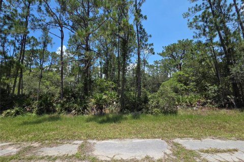 Terrain à vendre à Indian lake estates, Floride № 2213794 - photo 4