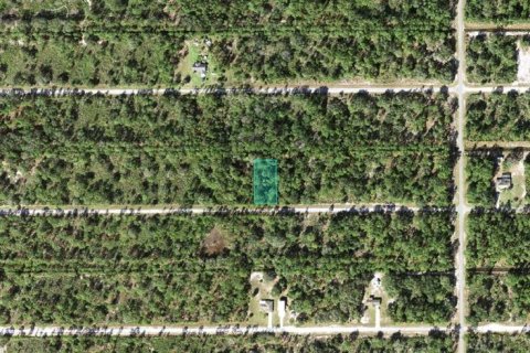 Terrain à vendre à Indian lake estates, Floride № 2213794 - photo 11