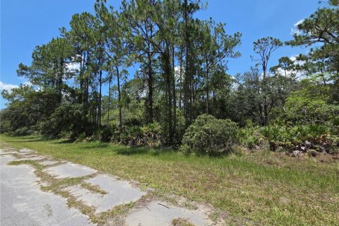 Terrain à vendre à Indian lake estates, Floride № 2213794 - photo 3