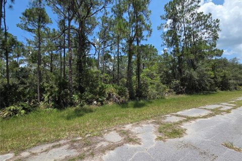 Terrain à vendre à Indian lake estates, Floride № 2213794 - photo 5
