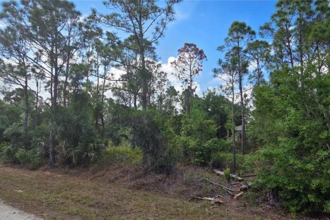 Terrain à vendre à Punta Gorda, Floride № 2195329 - photo 5