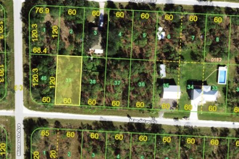 Terreno en Punta Gorda, Florida № 2195329