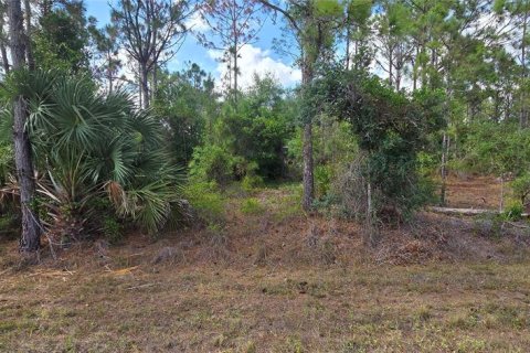 Terrain à vendre à Punta Gorda, Floride № 2195329 - photo 4