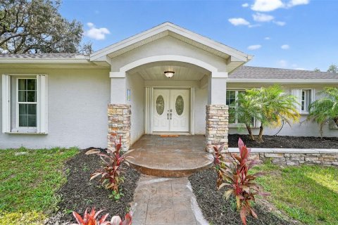 Villa ou maison à vendre à Hudson, Floride: 5 chambres, 286.51 m2 № 1914722 - photo 2