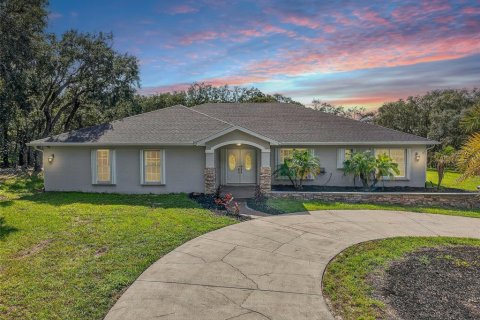 Villa ou maison à vendre à Hudson, Floride: 5 chambres, 286.51 m2 № 1914722 - photo 1