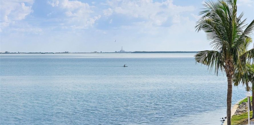 Condo in Saint Petersburg, Florida, 2 bedrooms № 2110269