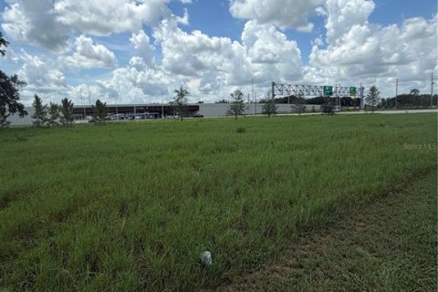 Land in Lake Wales, Florida № 2337302