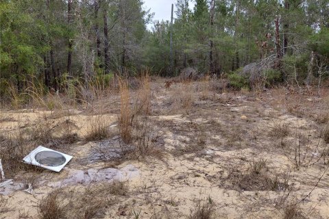 Terrain à vendre à Interlachen, Floride № 2239635 - photo 3