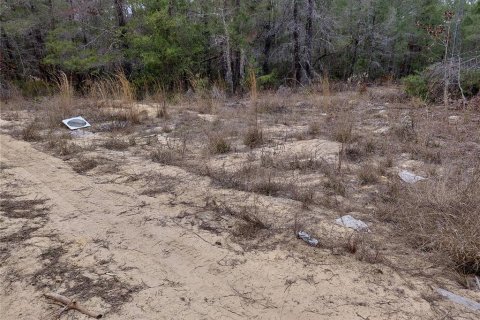 Terrain à vendre à Interlachen, Floride № 2239635 - photo 8
