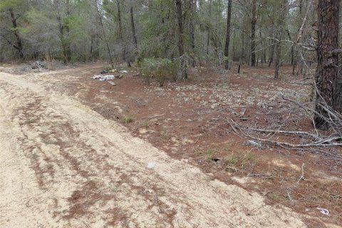 Terrain à vendre à Interlachen, Floride № 2239635 - photo 6