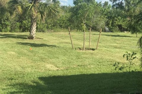 Land in Port Charlotte, Florida № 1812604 - photo 2