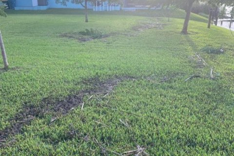 Land in Port Charlotte, Florida № 1812604 - photo 3