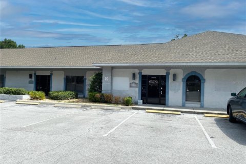 Commercial property in Lady Lake, Florida 216.28 sq.m. № 2134124