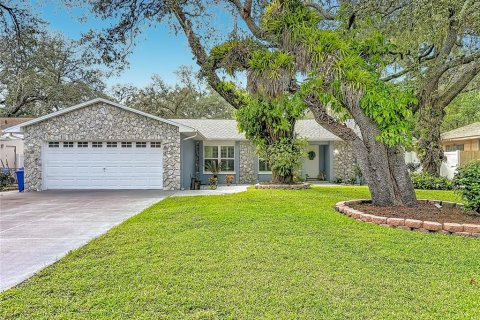 House in Tampa, Florida 3 bedrooms, 163.51 sq.m. № 2428731