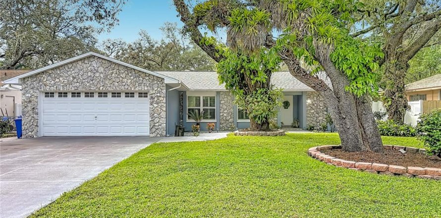 House in Tampa, Florida 3 bedrooms, 163.51 sq.m. № 2428731