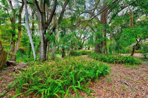 House in Clearwater, Florida 1 bedroom, 58.53 sq.m. № 891022 - photo 22