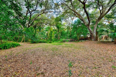 House in Clearwater, Florida 1 bedroom, 58.53 sq.m. № 891022 - photo 18