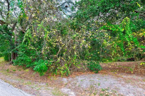 House in Clearwater, Florida 1 bedroom, 58.53 sq.m. № 891022 - photo 10