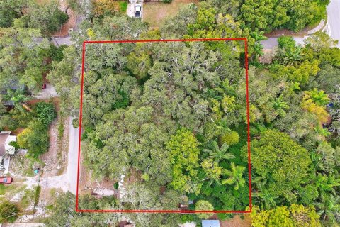 House in Clearwater, Florida 1 bedroom, 58.53 sq.m. № 891022 - photo 5