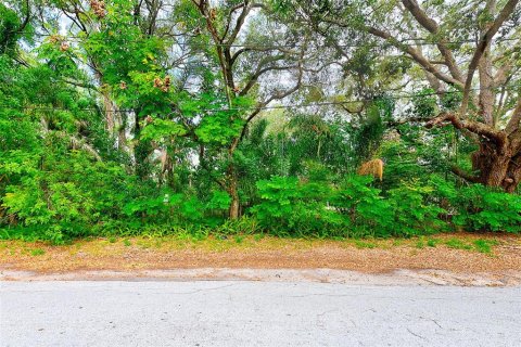 House in Clearwater, Florida 1 bedroom, 58.53 sq.m. № 891022 - photo 14