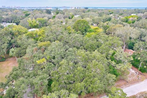 House in Clearwater, Florida 1 bedroom, 58.53 sq.m. № 891022 - photo 4