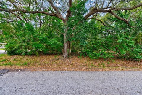 House in Clearwater, Florida 1 bedroom, 58.53 sq.m. № 891022 - photo 11