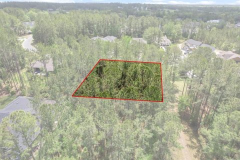 Terrain à vendre à Brooksville, Floride № 1620811 - photo 2