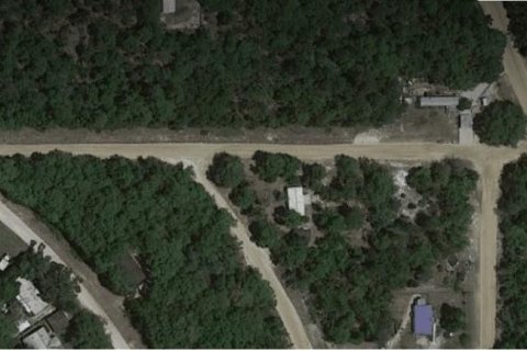 Land in Interlachen, Florida № 2165859