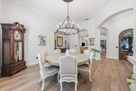 House in Fish Hawk, Florida 6 bedrooms, 558.34 sq.m. № 2117653 - photo 7
