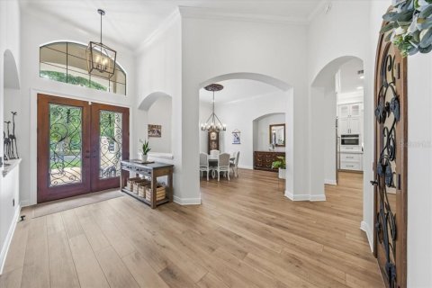 House in Fish Hawk, Florida 6 bedrooms, 558.34 sq.m. № 2117653 - photo 5