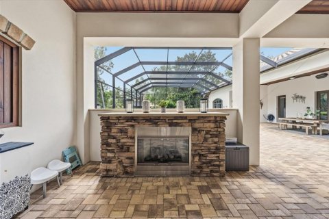 House in Fish Hawk, Florida 6 bedrooms, 558.34 sq.m. № 2117653 - photo 26
