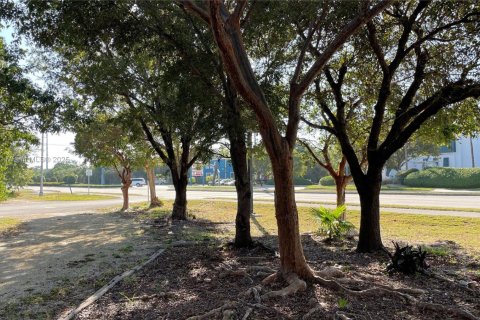 Commercial property in Marathon, Florida № 1701615 - photo 13