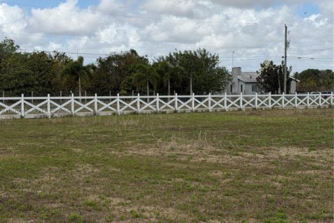 Купить земельный участок в Хомстед, Флорида № 2050064 - фото 12