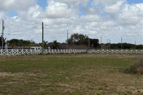 Купить земельный участок в Хомстед, Флорида № 2050064 - фото 13